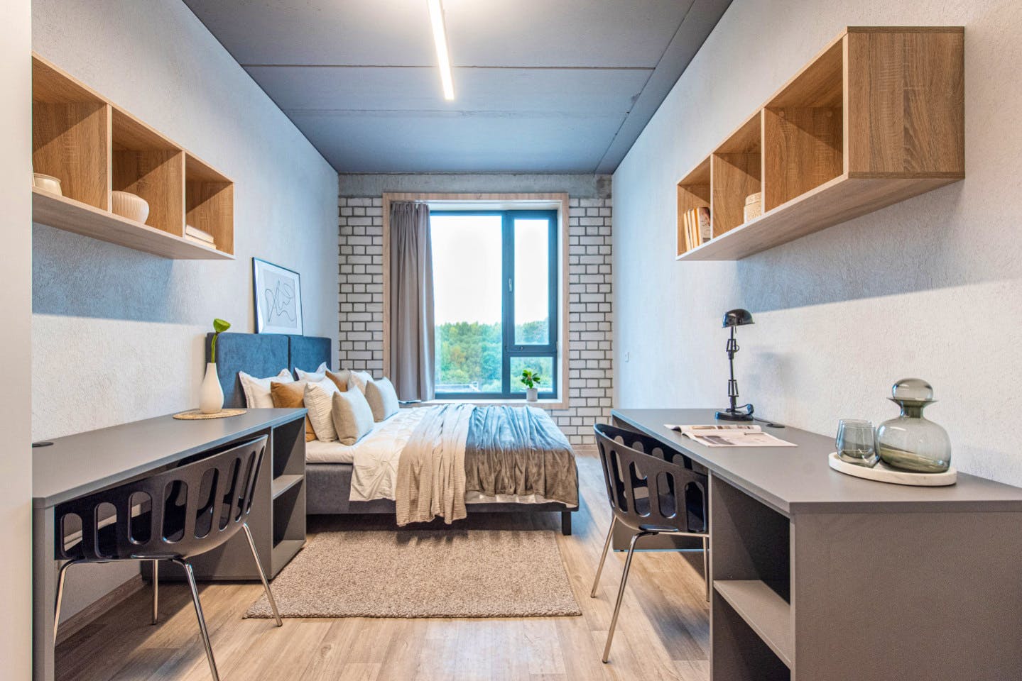 Private Single Comfort Studio - Stunning Stylish Complex w/ Gym + Coworking near grocery store Apartment - Gallery - 9