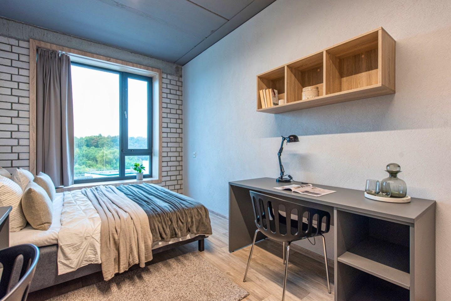 Private Single Comfort Studio - Stunning Stylish Complex w/ Gym + Coworking near grocery store Apartment - Gallery - 4
