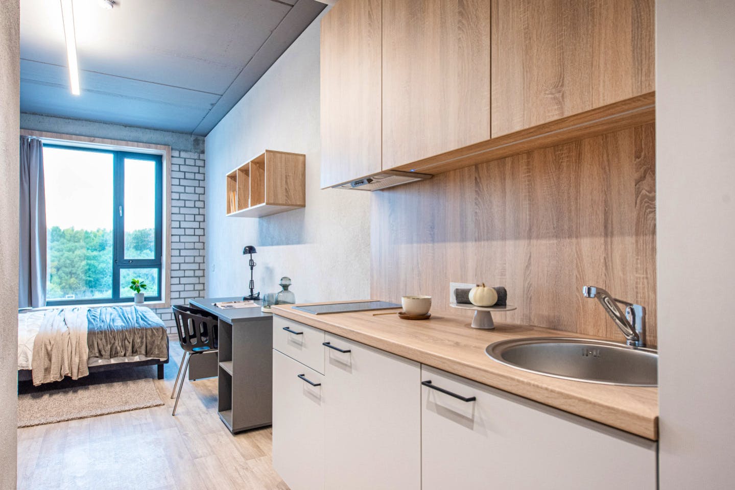 Private Single Comfort Studio - Stunning Stylish Complex w/ Gym + Coworking near grocery store Apartment - Gallery - 6