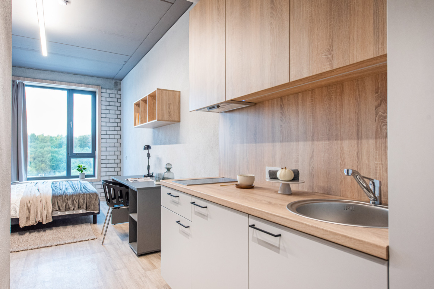 Private Single Comfort Studio - Stunning Stylish Complex w/ Gym + Coworking near grocery store Apartment - Gallery - 15
