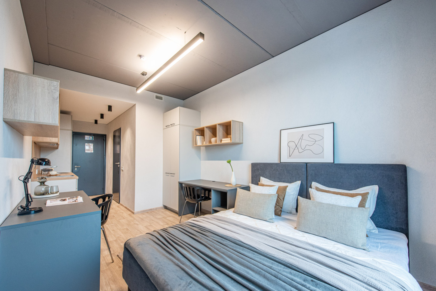 Private Single Comfort Studio - Stunning Stylish Complex w/ Gym + Coworking near grocery store Apartment - Gallery - 11