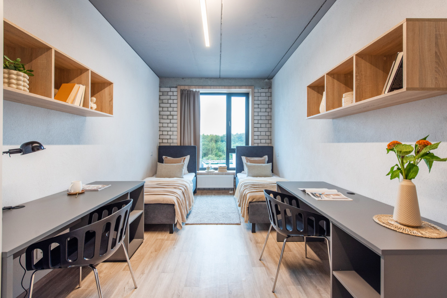 Private Twin Studio - Stunning Stylish Complex w/ Gym + Coworking near grocery store Apartment - Gallery - 13