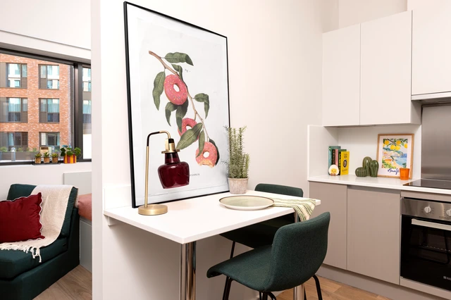 Large High Double Studio - 3