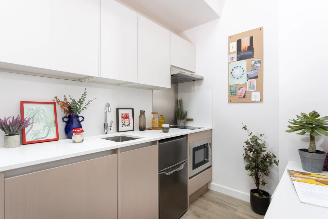  Large Standard Double Studio  -  Cathedral Park  - Gallery -  2