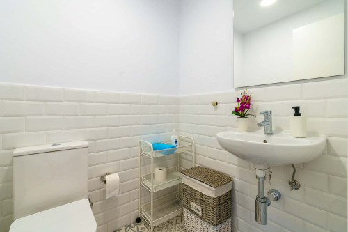 Living Coast Fuengirola