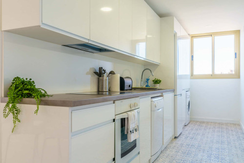 Living Coast Fuengirola - Gallery - 9