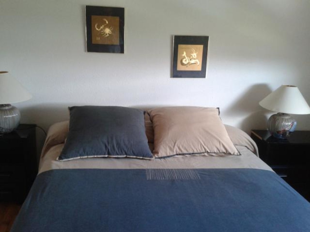 Room 1(Single Bed) - 1