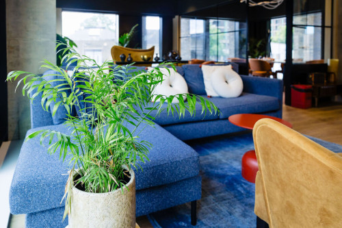 South Bermondsey - Gallery - 23