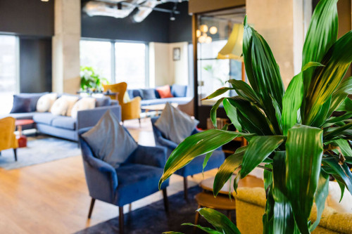 South Bermondsey - Gallery - 16