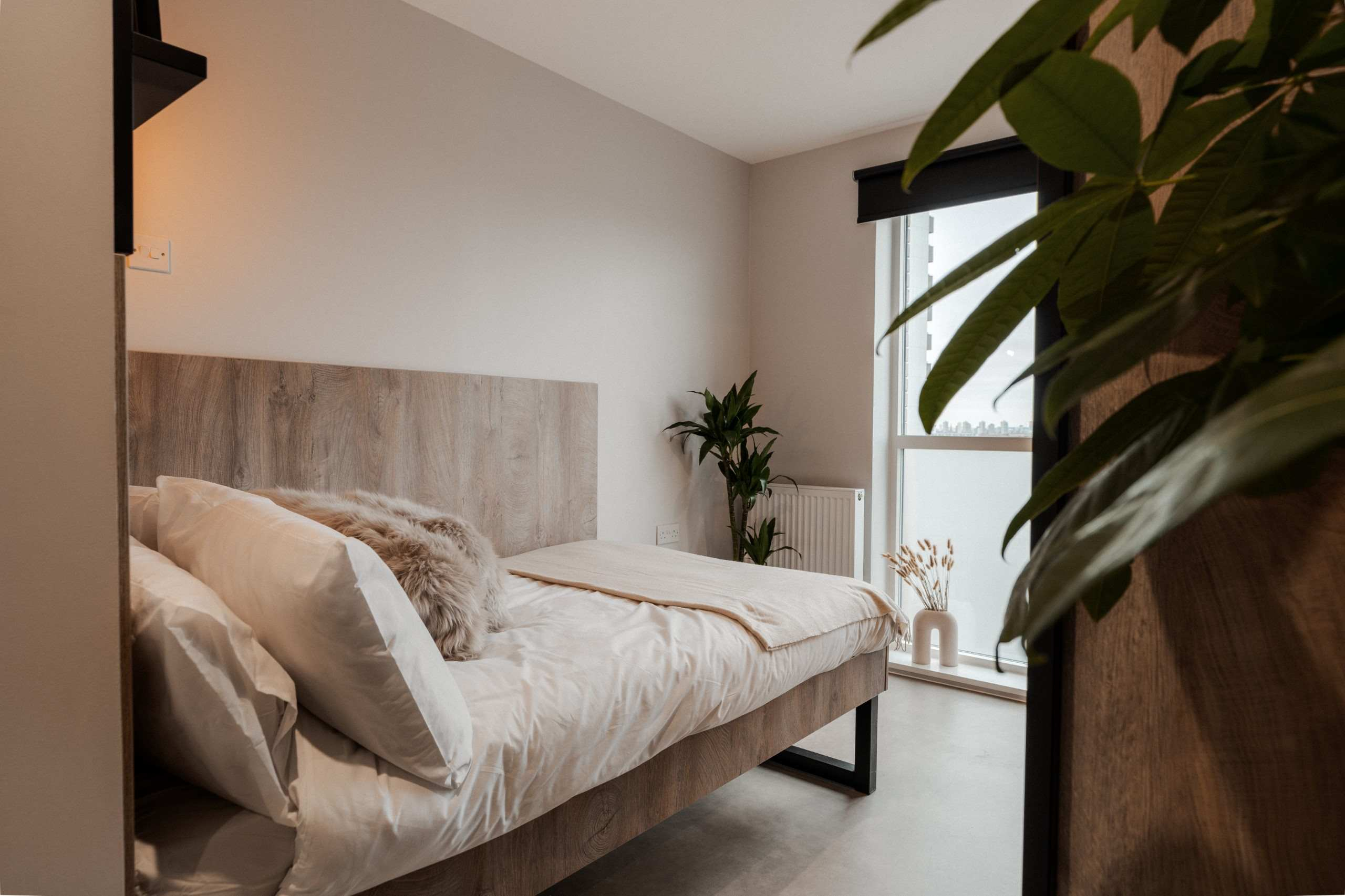 Superior En-Suite - 1