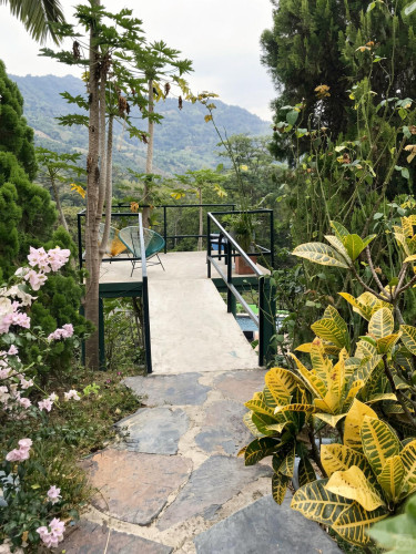 Vereda Home - Gallery - 16