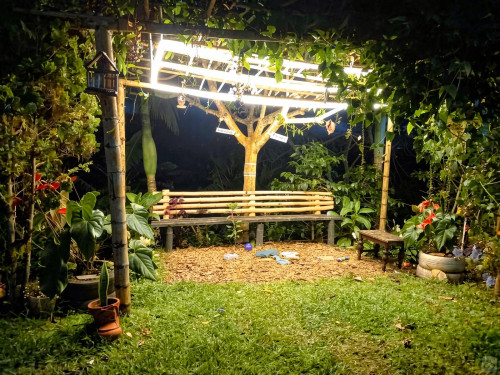 Vereda Home - Gallery - 19