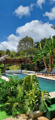Vereda Home - Gallery - 35