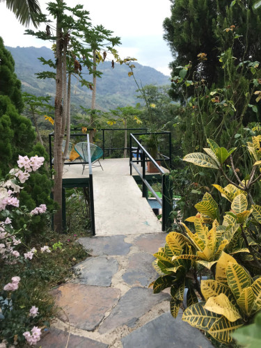 Vereda Home - Gallery - 38