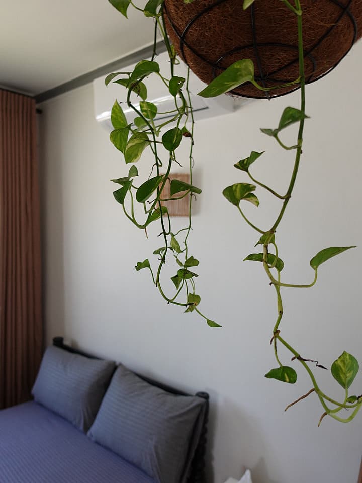 Private Double Room With Shared Bathroom In Hallway - 27