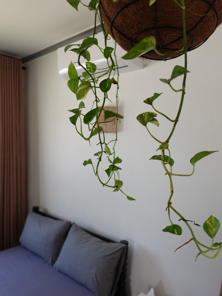 Private Double Room With Shared Bathroom In Hallway - 19