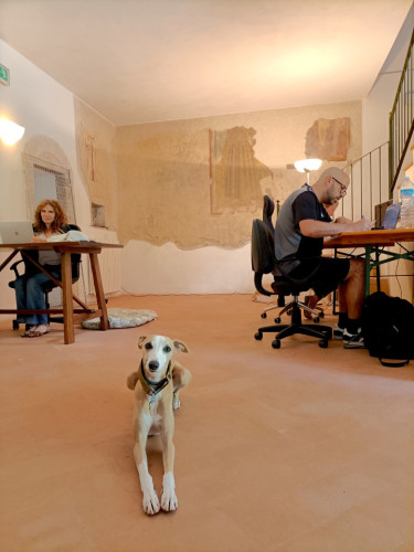 Medieval Village Coliving in Umbria’s Verdant Hills