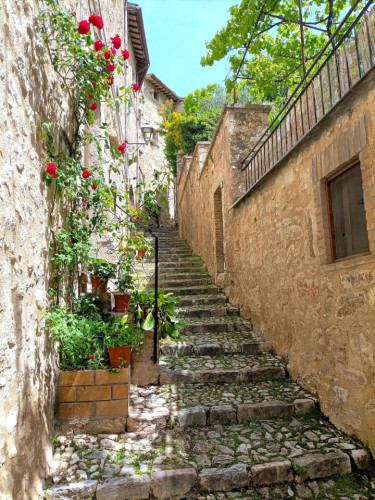 Medieval Village Home - Gallery - 35