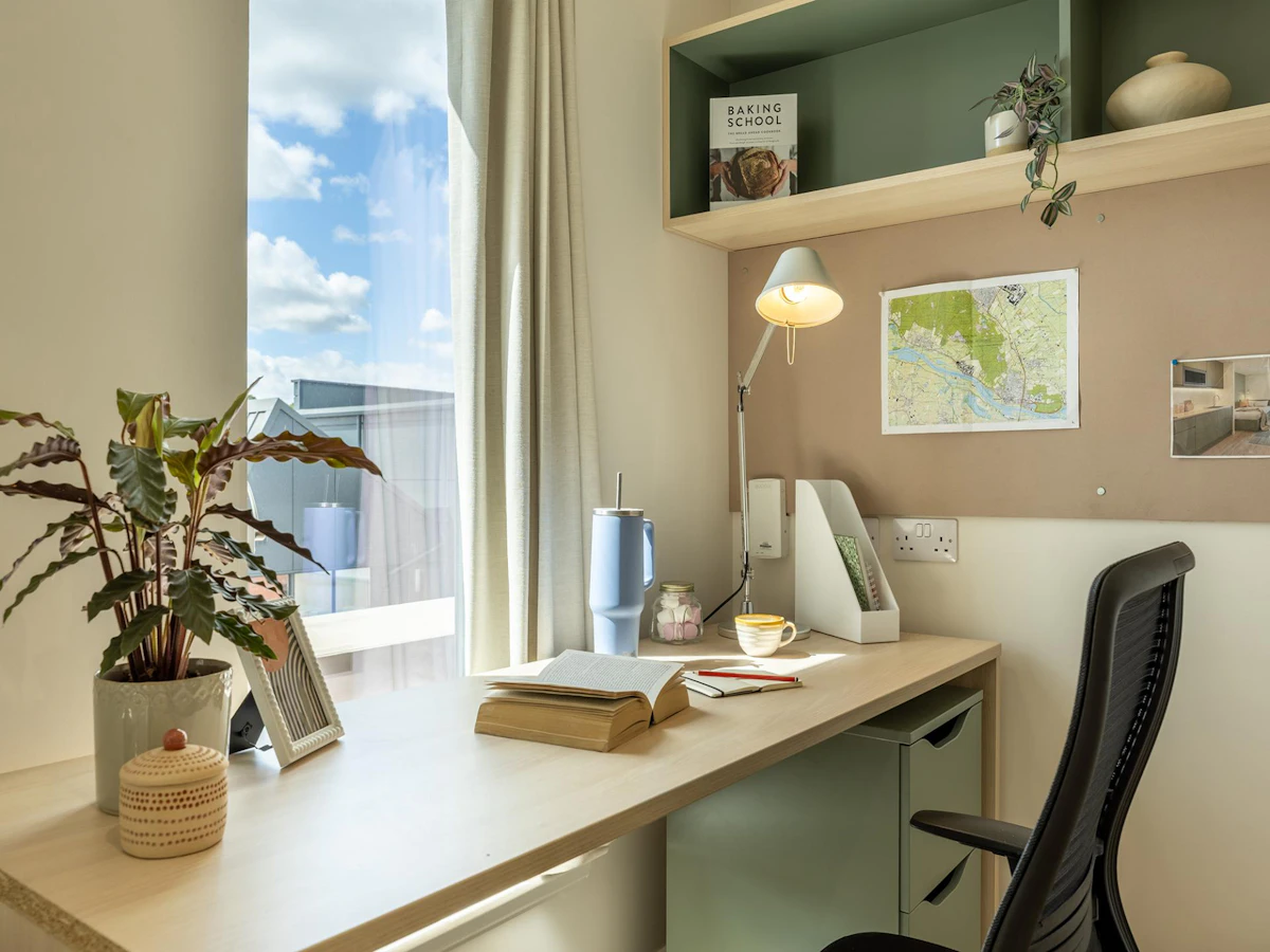 Classic Studio Plus - Parklands - Gallery - 5