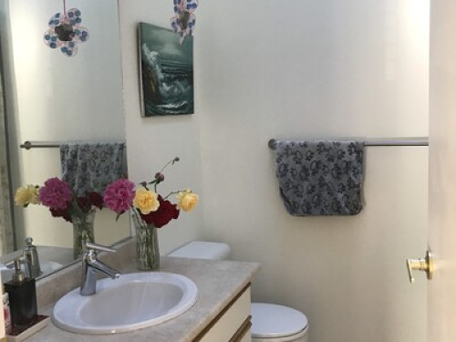 quiet-convenient-and-sunshine-roo-coquitlam-123539487620241125042255AM