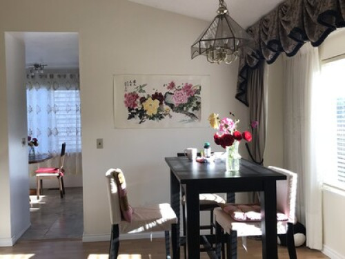 quiet-convenient-and-sunshine-roo-coquitlam-137399415920241125042256AM