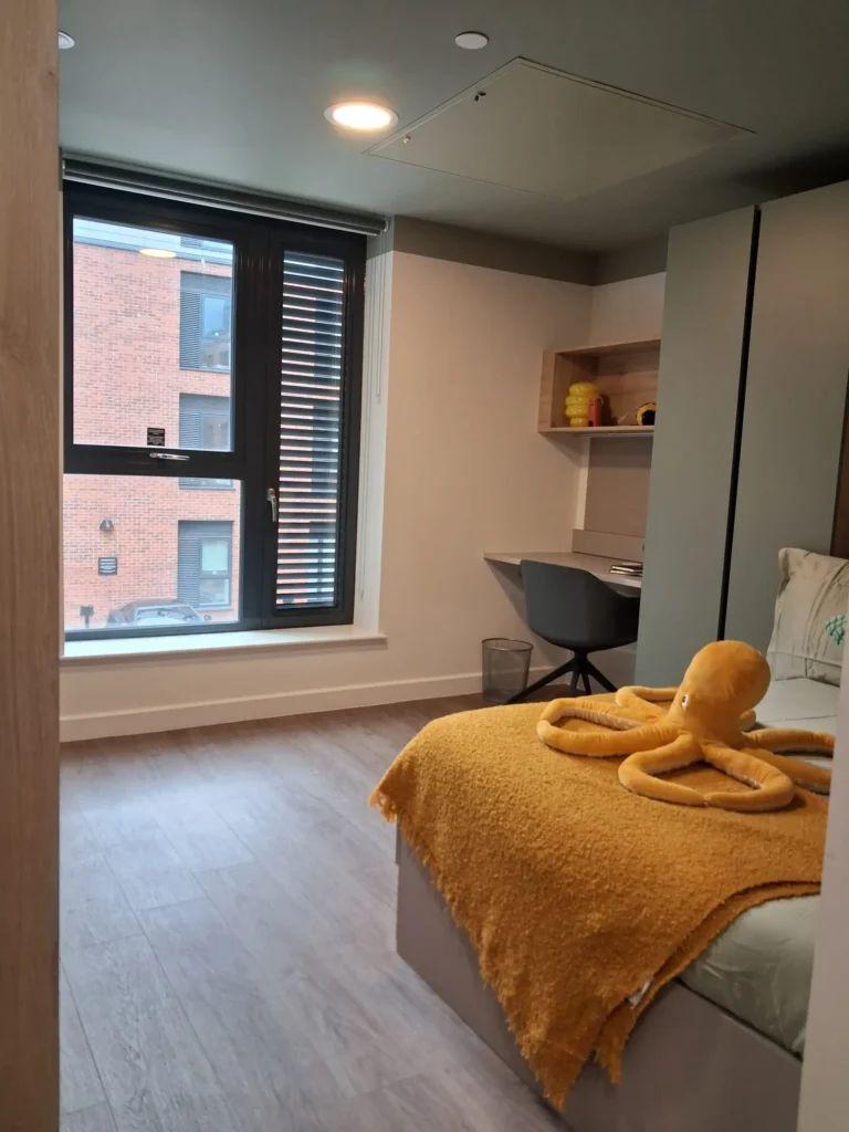 Large Studio - Accessible - 41