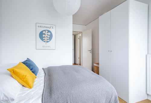 Alfred 12 Room 4 Standard+