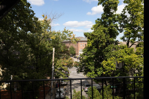 #234: Allston - Gallery - 26