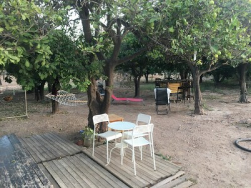 Cozy Cottage in the Citrus Garden
