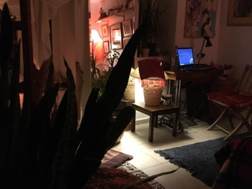 Cozy Cottage in the Citrus Garden