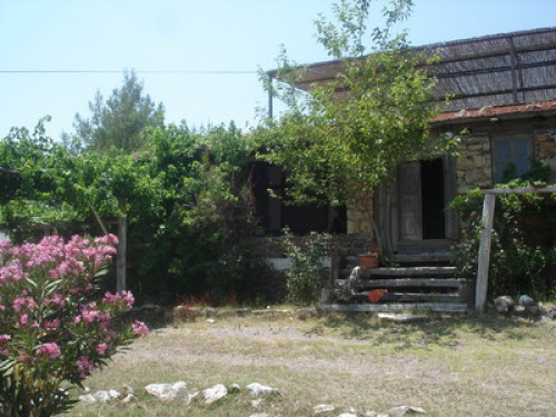 Village House - Gallery - 12
