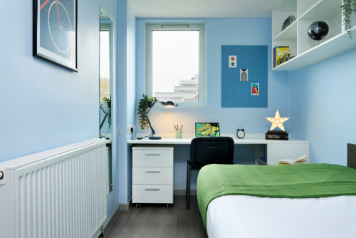 Calcott Ten - Gallery - 17