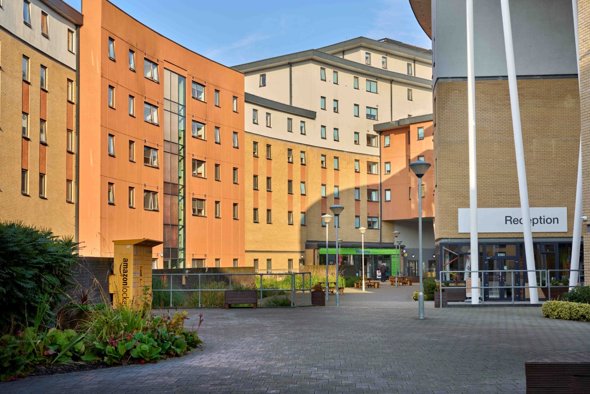 The Maltings
