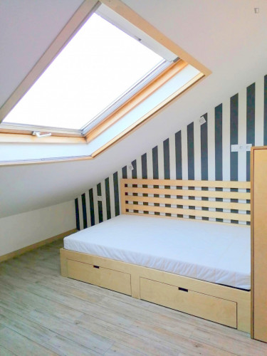 Homely room in a 9-bedroom apartment (private bathroom)