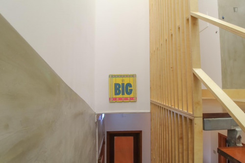 Homely room in a 9-bedroom apartment (private bathroom)