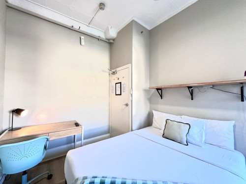 Crown St Surry Hills - Gallery - 6
