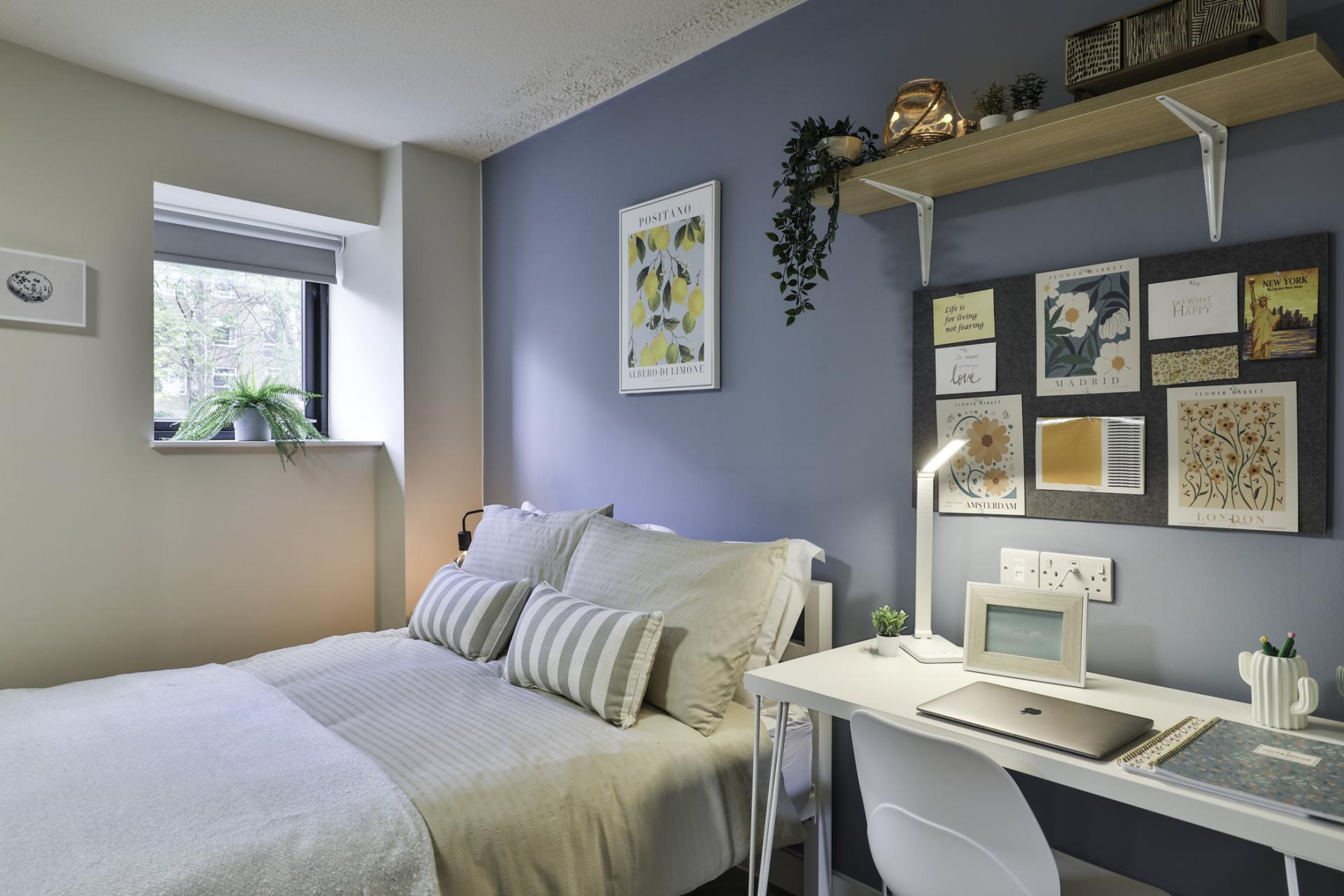  Silver Studio  -  Ladybarn House  - Gallery -  2