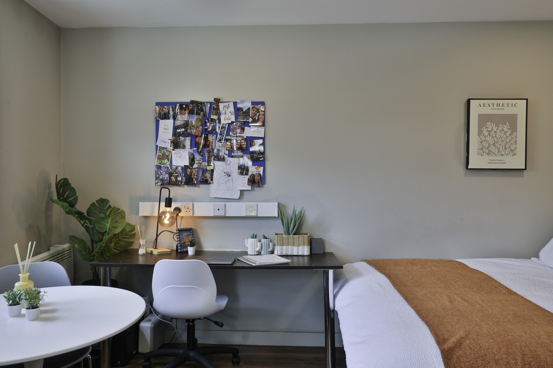  Gold Studio  -  Ladybarn House  - Gallery -  21