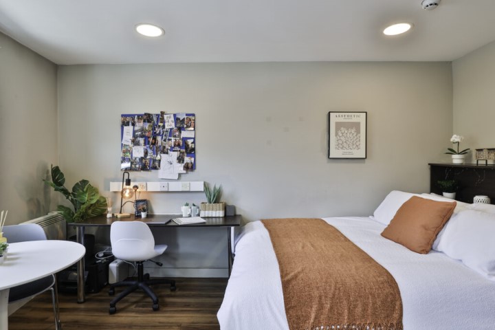  Gold Studio  -  Ladybarn House  - Gallery -  6