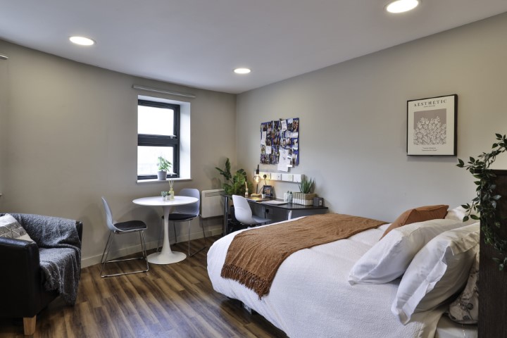  Gold Studio  -  Ladybarn House  - Gallery -  11