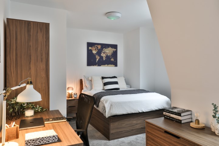  Silver Studio Plus  -  Francis Gardner  - Gallery -  1