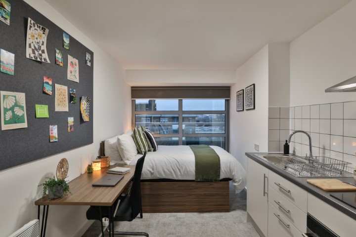  Platinum Penthouse Studio  -  Francis Gardner  - Gallery -  1