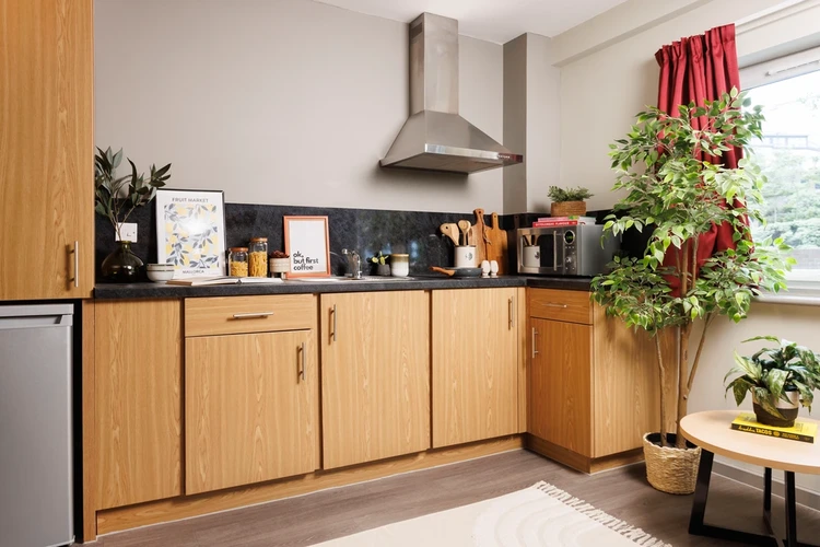  Double Wheelchair Accessible Studio  -  Unite Students Manor Bank  - Gallery -  2