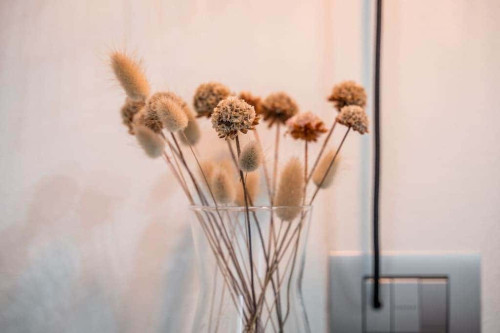 Piazza Giacomo Matteotti 26