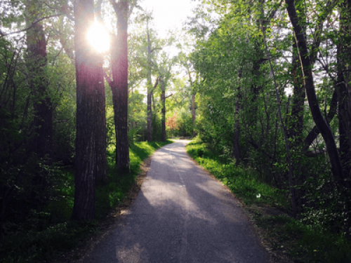 Private & Safe Lg Studio Bsmt