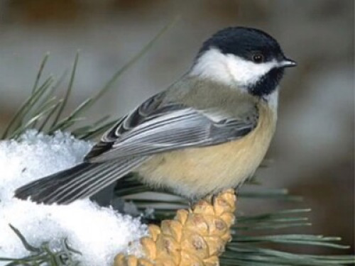 Private & Safe Lg Studio Bsmt