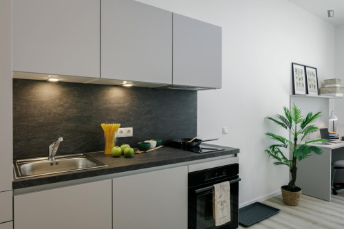 Exquisite studio in Favoriten
