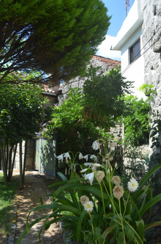 Rustic 2 Bedroom House with a Swimming Pool close to Loivos do Monte