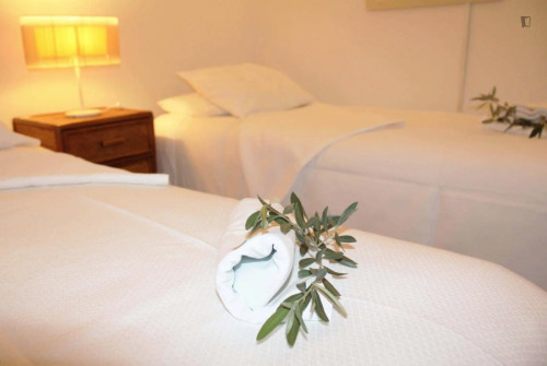 Enchanting 1-bedroom flat