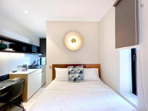 Appealing studio in the Novena neighbourhood
